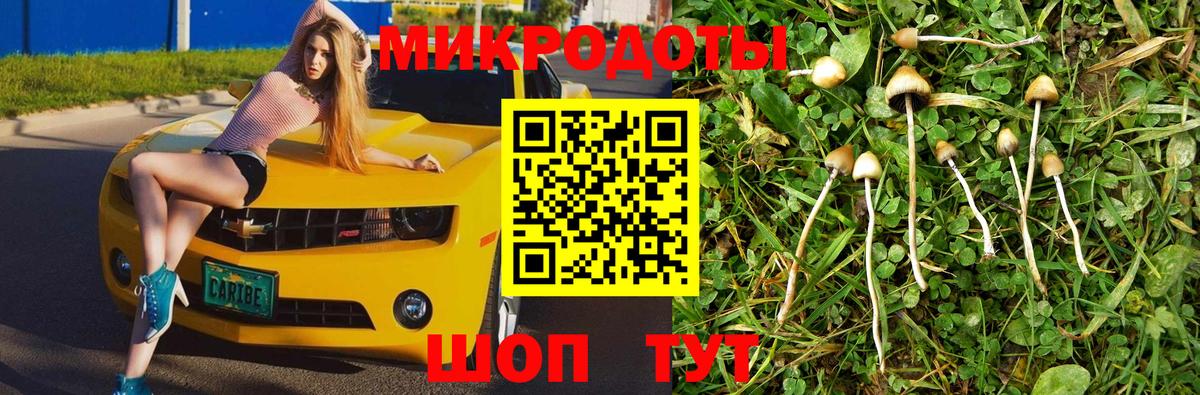 Галлюциногенные грибы мицелий  наркотики  Владимир  Галлюциногенные грибы мицелий  Вход с VPN 