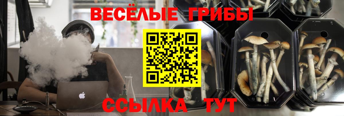 Галлюциногенные грибы мухоморы Владимир